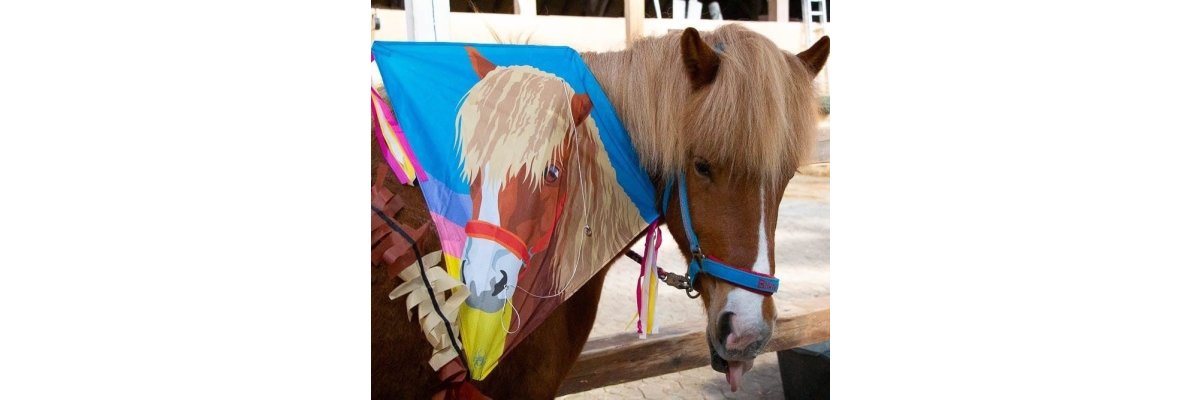 Cattys Lieblingsdrachen - 