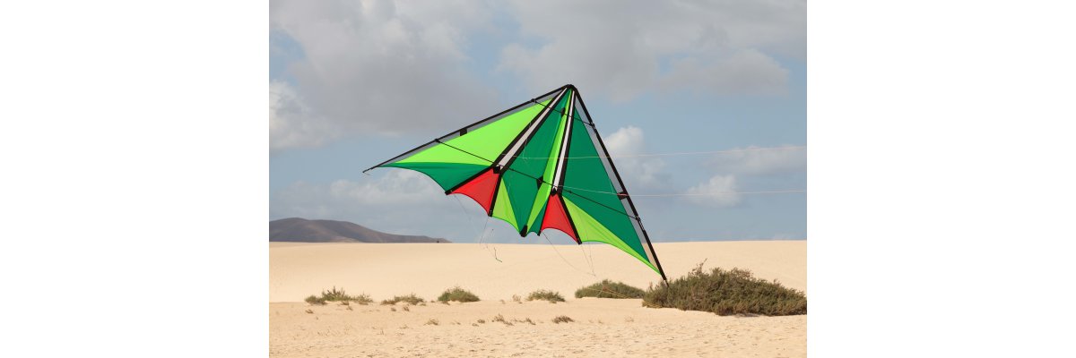 DV-8: Der etwas andere Delta - DV-8 von Spiderkites - Delta-Flug an vier Leinen
