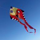 Pyro Delta Fish 270 x 860cm