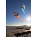 Carsten Domanns Starlight