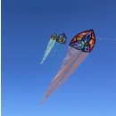 Carsten Domanns Starlight