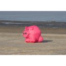 Bouncing Buddy Porky