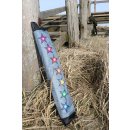 Brasington Southern Stars