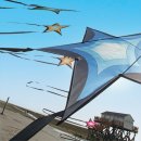 Brasington Southern Stars