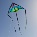 Brasington Taz Delta Carbon