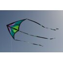 Brasington Taz Delta Carbon