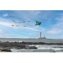 Brasington Taz Delta Carbon