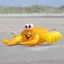 Bouncing Buddy Billy the Crab