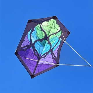 Brasington Rokkaku rtf