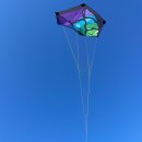 Brasington Rokkaku rtf