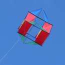 Flügelkastendrachen