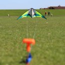 Ground peg with sleeve