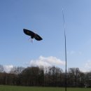 reinforced telescopic rod 5m, incl. ground stake